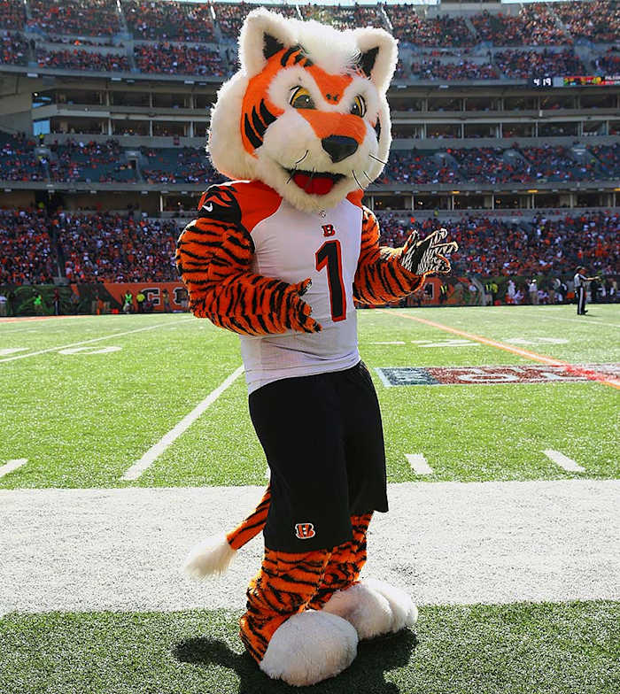 Cincinnati-Bengals-Who-Dey.jpg